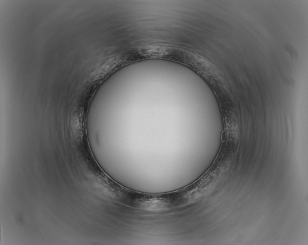 X0000112070460200908181224