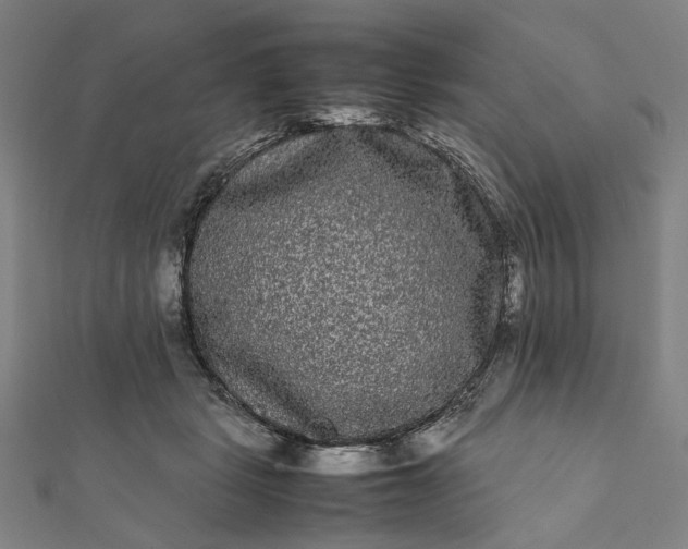 X0000112070461200908181224
