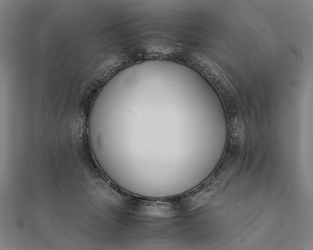 X0000112070463200908181224