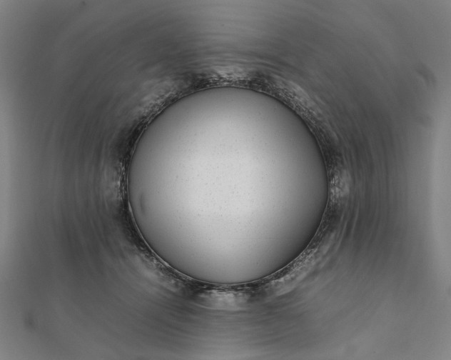 X0000112070464200908181224