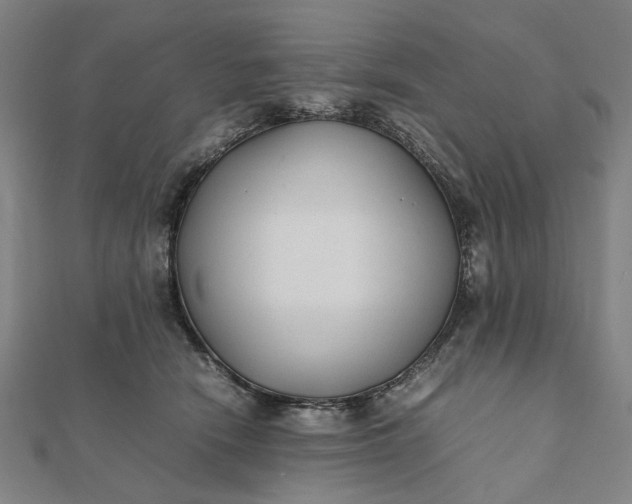 X0000112070466200908181224