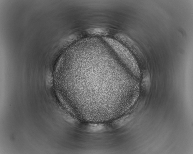 X0000112070469200908181224