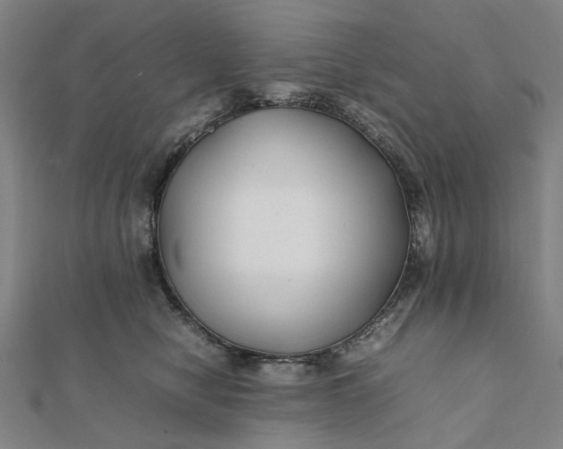 X0000112070470200908181224
