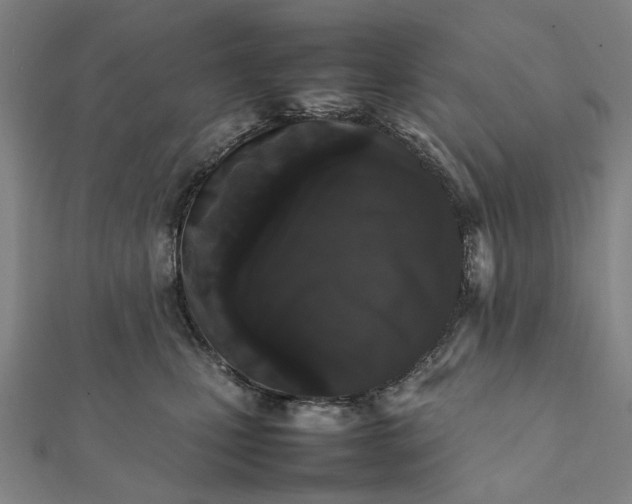X0000112070471200908181224