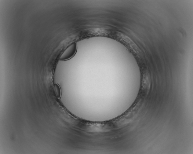 X0000112070473200908181224