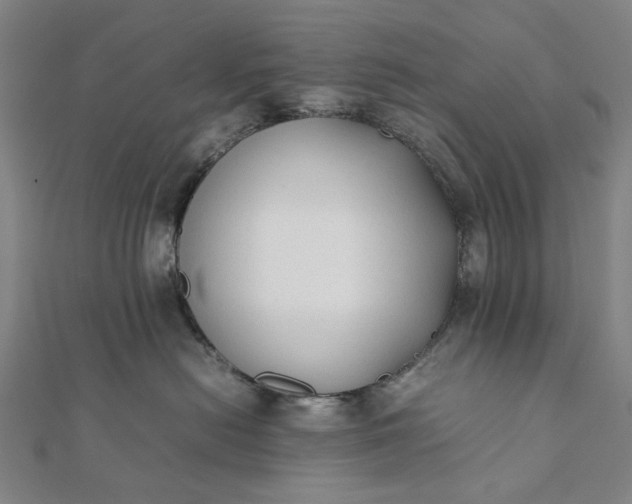 X0000112070478200908181224