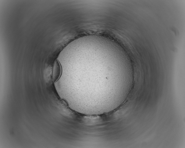 X0000112070480200908181224