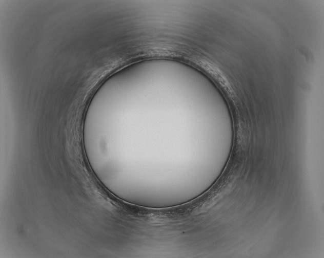 X0000112070481200908181223