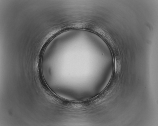 X0000112070483200908181223