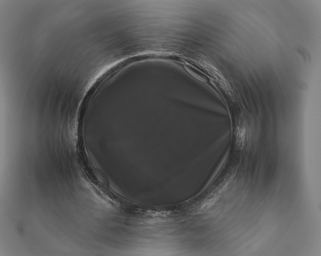 X0000112070484200908181223