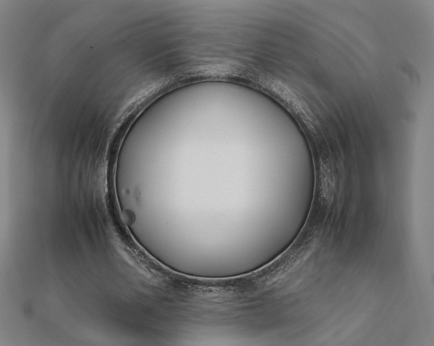 X0000112070486200908181223