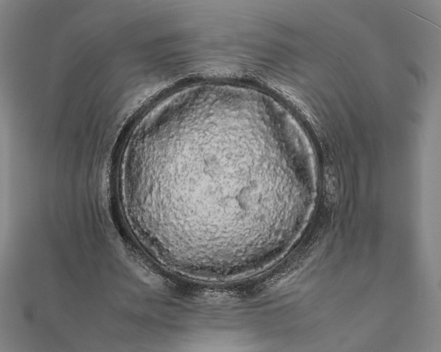 X0000112070487200908181223
