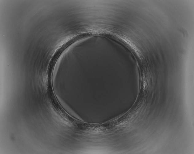 X0000112070488200908181223