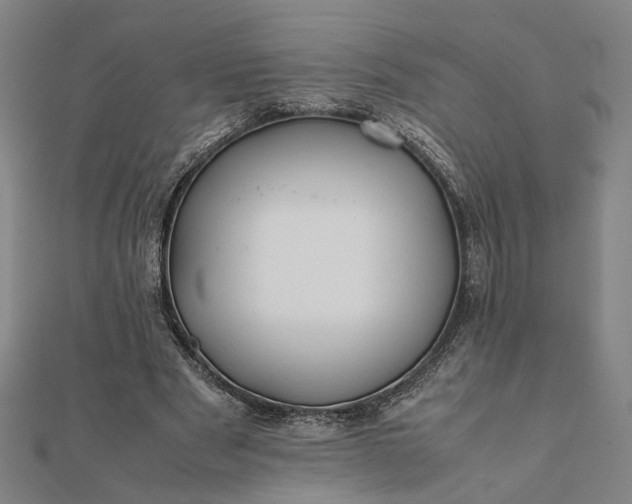 X0000112070489200908181223