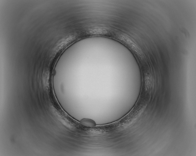 X0000112070490200908181223