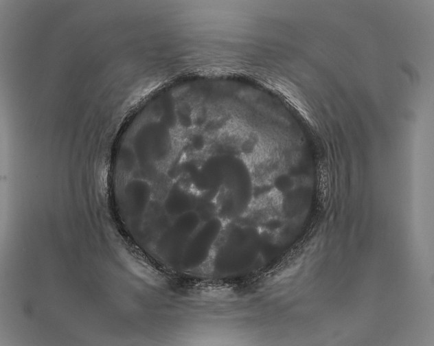 X0000112070491200908181223