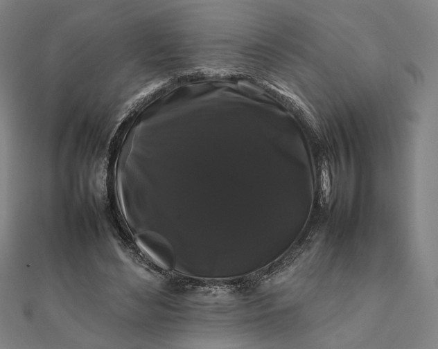 X0000112070492200908181223