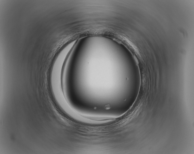 X0000112070493200908181223