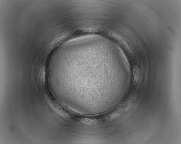 X0000112070494200908181223