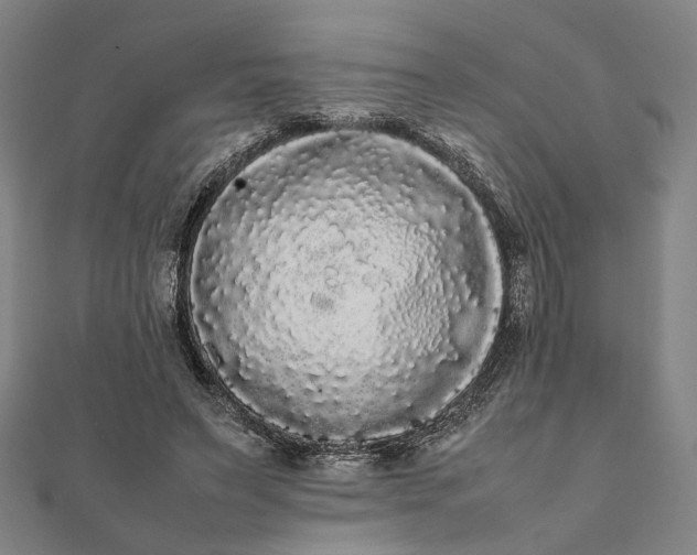 X0000112070495200908181223