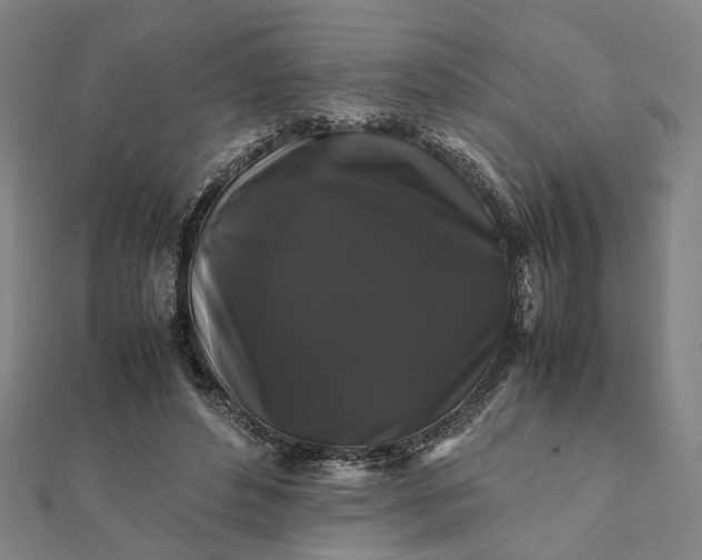 X0000112070496200908181223