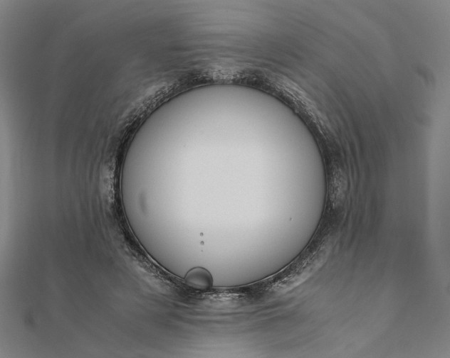 X0000112070497200908181223