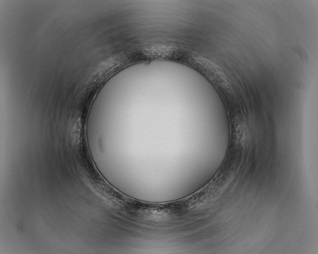 X0000112070498200908181223