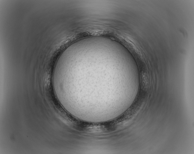 X0000112070499200908181223