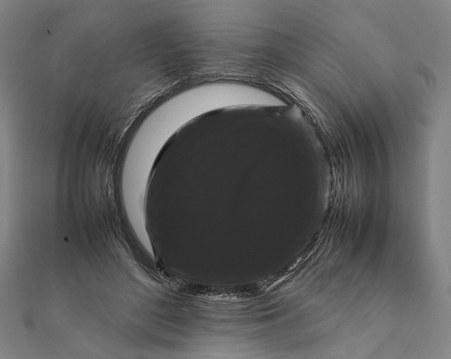 X0000112070500200908181223