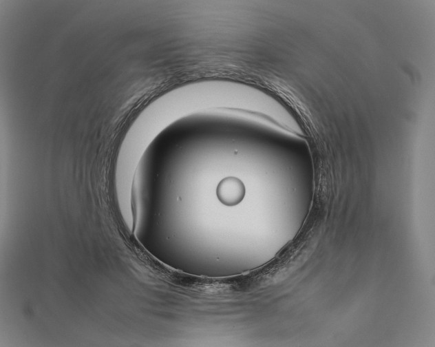 X0000112070501200908181223