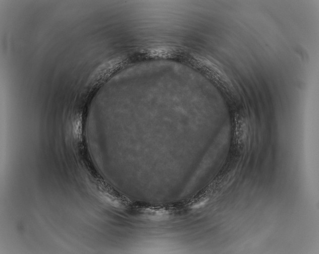 X0000112070502200908181223