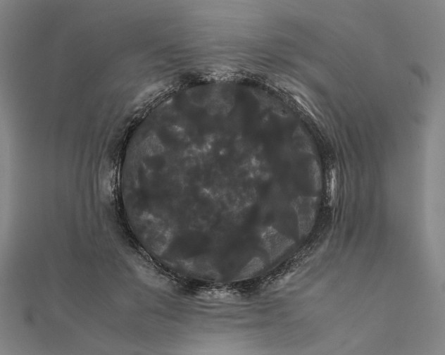 X0000112070503200908181223