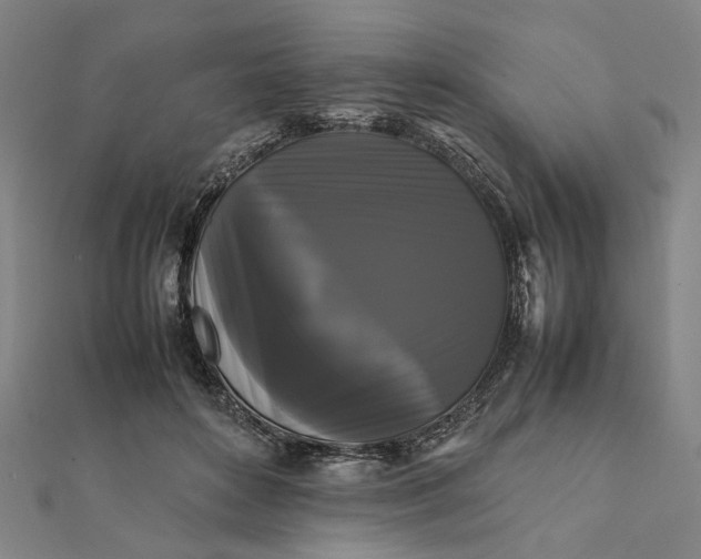 X0000112070504200908181223