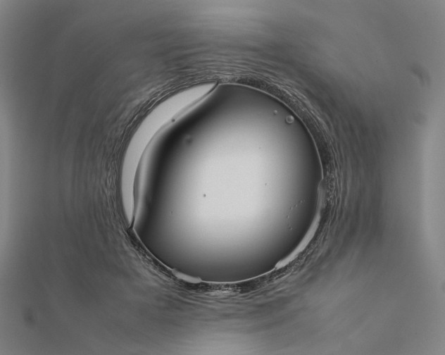 X0000112070505200908181223