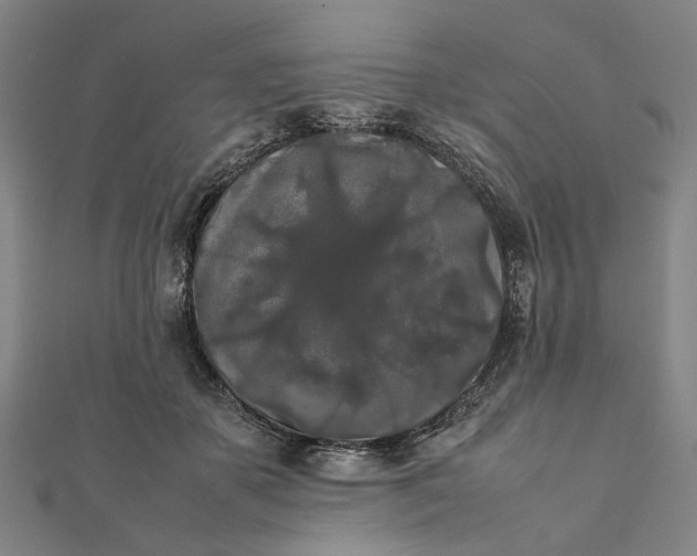 X0000112070507200908181223