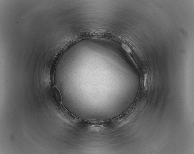X0000112070508200908181223