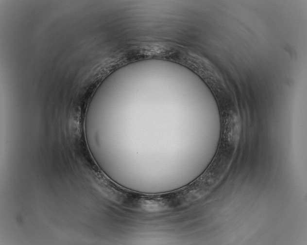 X0000112070510200908181223