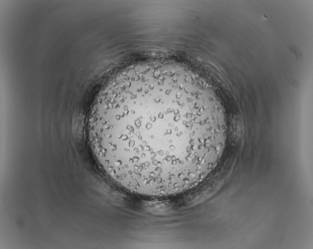 X0000112070511200908181223