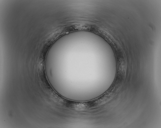 X0000112070513200908181223