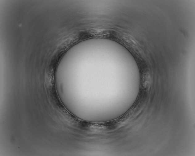 X0000112070515200908181223