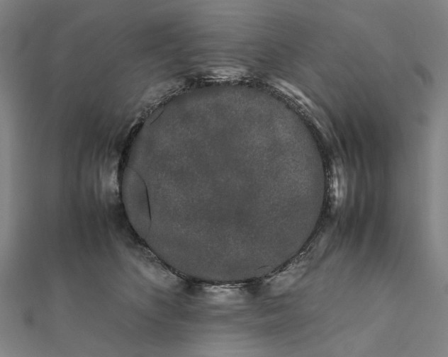 X0000112070516200908181223