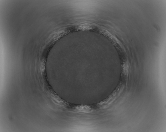 X0000112070517200908181223