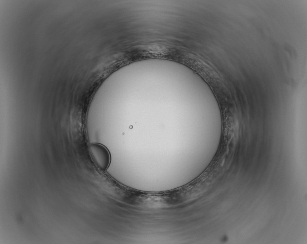 X0000112070518200908181223