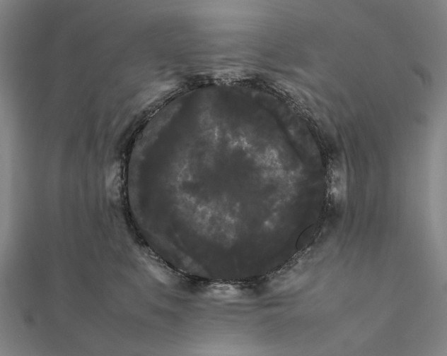 X0000112070519200908181223