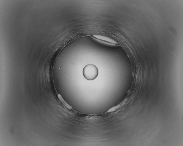 X0000112070520200908181223