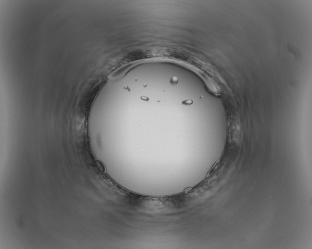 X0000112070521200908181223