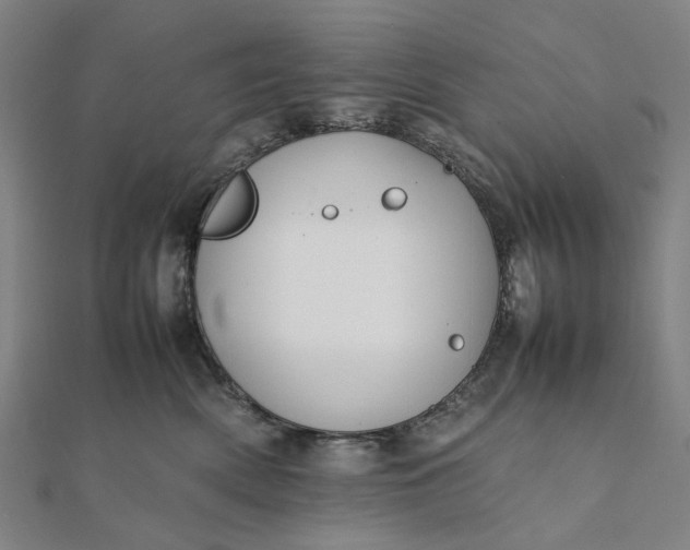 X0000112070522200908181223
