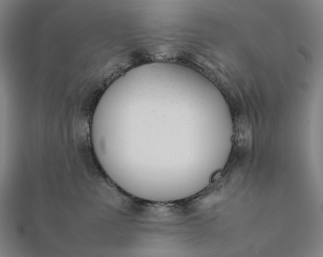X0000112070523200908181223