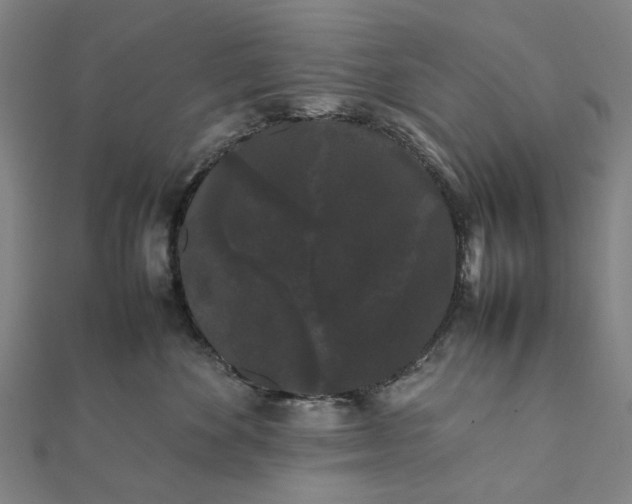 X0000112070524200908181223