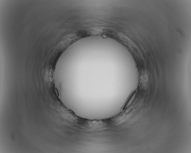 X0000112070525200908181223